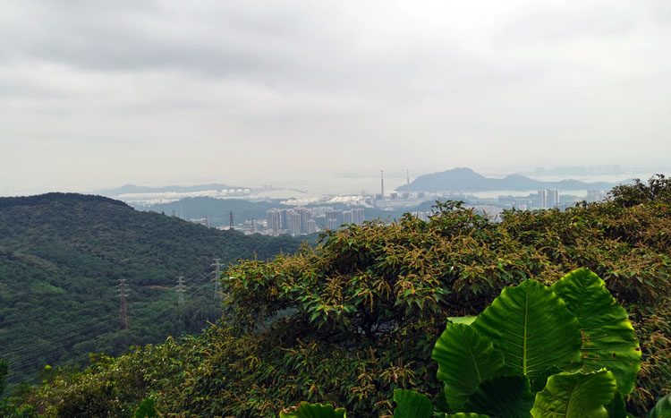 激揚青春、奮勇攀登登山活動